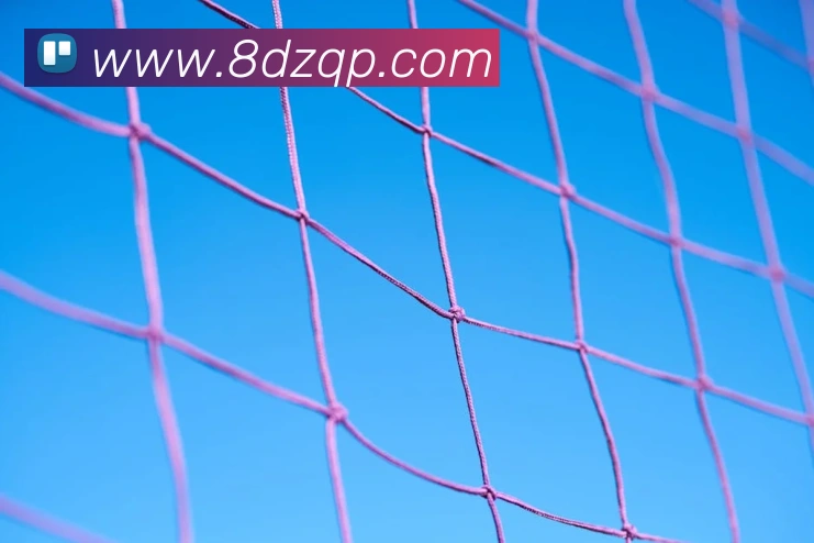 数据防护可视化